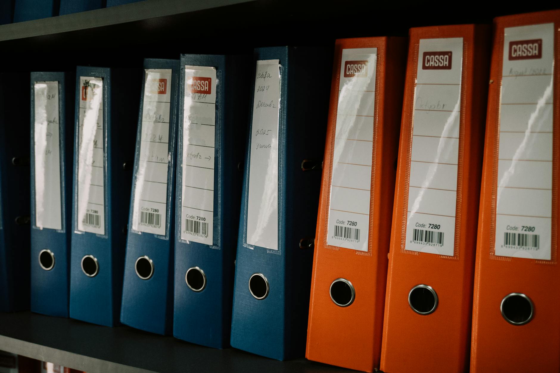 Grafički prikaz različitih fajl formata i njihovih karakteristika u kontekstu članka o fajl formatima.